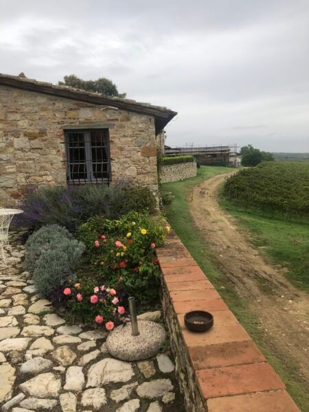 Stone cottage with colorful flowers beside a dirt path in a rural landscape under a cloudy sky.